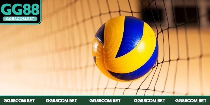 Tham gia cá cược bóng chuyền với nhiều ưu điểm